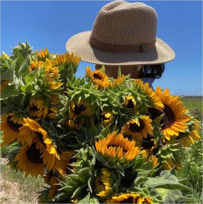 Sunflower Bunch